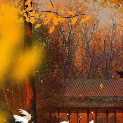 口袋三国志Online果盘客户端下载
